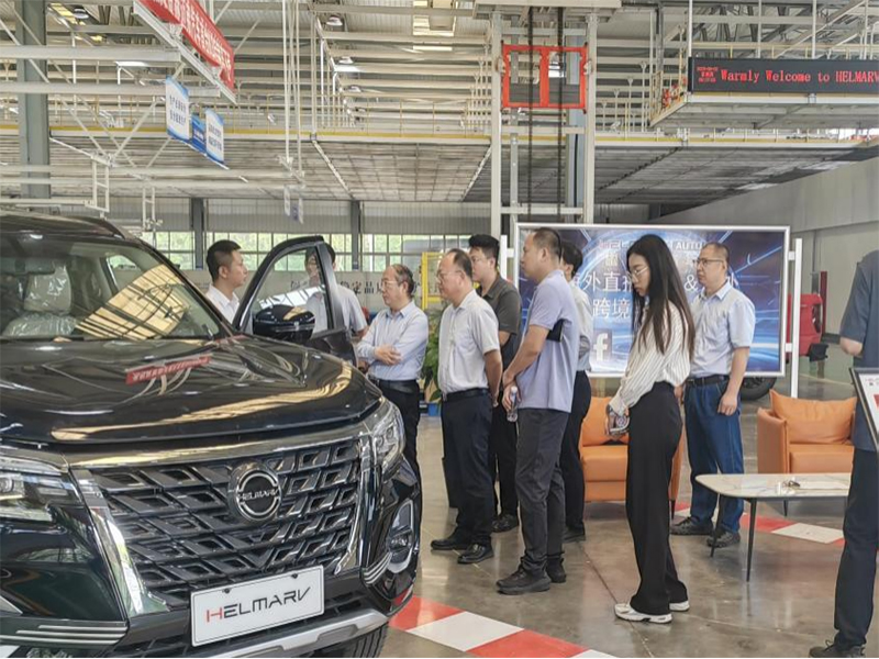 市政府调研组一行莅临我司调研指导