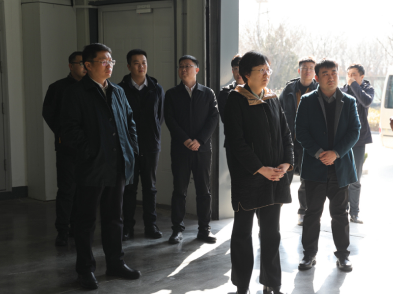 临淄区调研组莅临我司调研指导